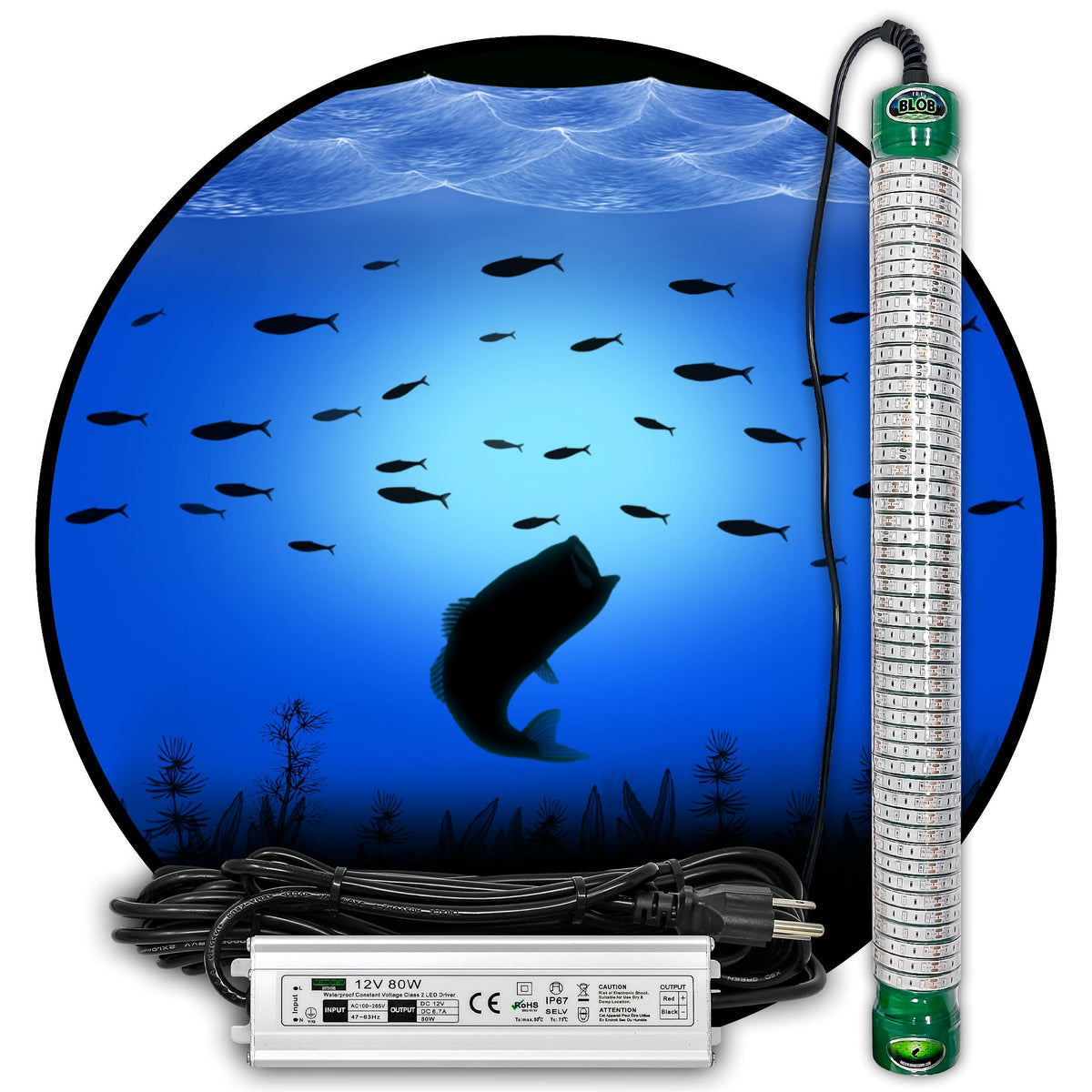 Green Blob Jumbo BLOB 30000 Lumens 600 LED Underwater Fishing Light for Docks 110 Volt AC with 3 Prong Plug Sports Green Blob Outdoors 