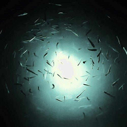 White Blob Underwater Dock Squid Fishing Light 7500 Lumen w 110v