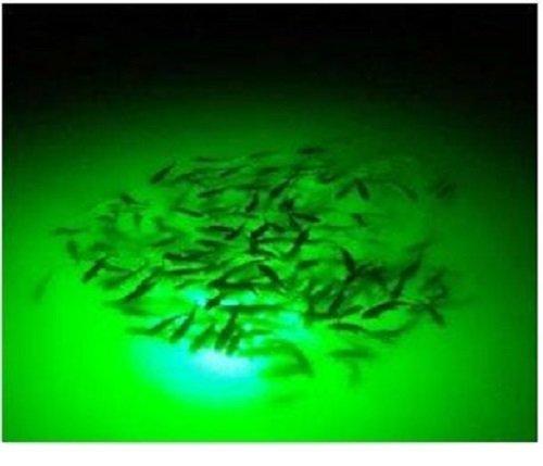 Lampe De Pêche Sous-marine Green Blob 15 000 Lumens - 110 V, 30 Pieds, Verte