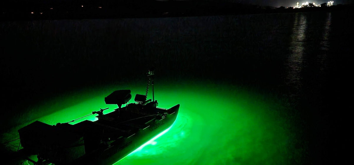 Green Blob 110V Bottom Bobber: LED Underwater Dock Fishing Light - Green Blob Outdoors