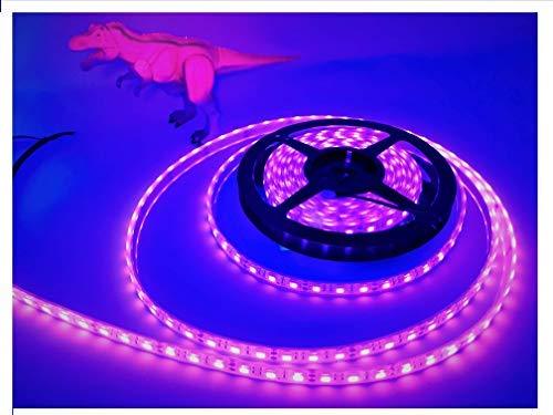 High Power Underwater LED Outdoor Light Strips 5 Meters SMD5630 IP68 - Green Blob Outdoors