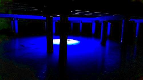 Multi - Color Color Changing LED Dock - 7500 Underwater Fishing Light with Remote Control - Green Blob Outdoors