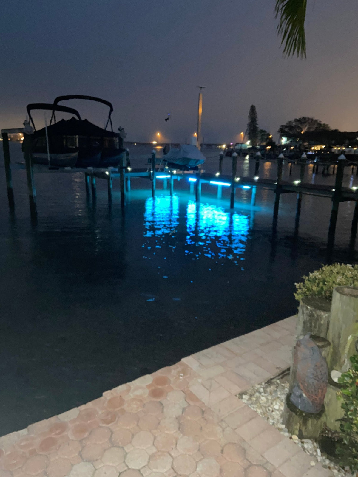 Pimp My Dock 50ft Length DIY Neon Multi-Color, Color Changing Premium LED Under Dock Accent Lighting Kit IP68 Completely Waterproof - Green Blob Outdoors