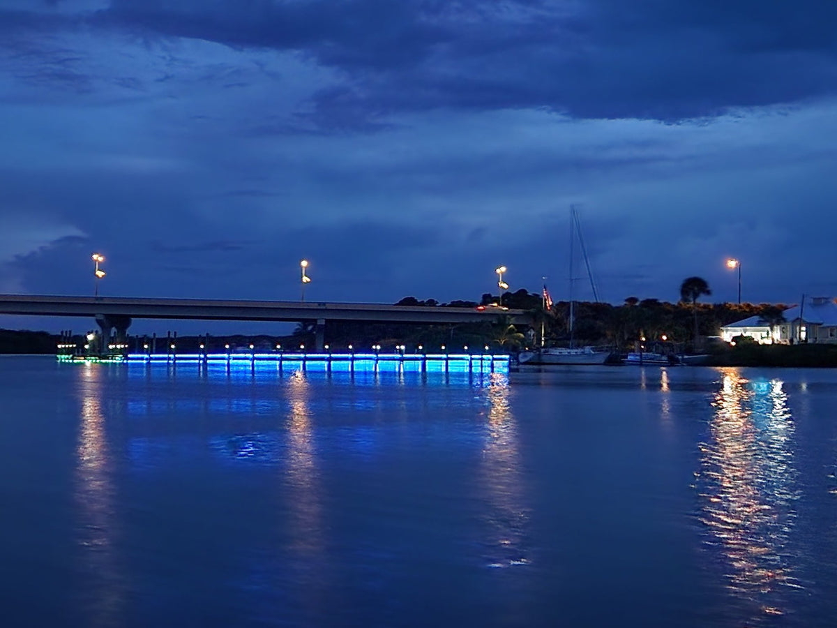 Pimp My Dock LED Accent Under glow Lighting Kit (Blue, Green, UV, White, or Color Changing) DIY Premium LED Under Dock Lighting Kit IP68 Completely Waterproof - Green Blob Outdoors