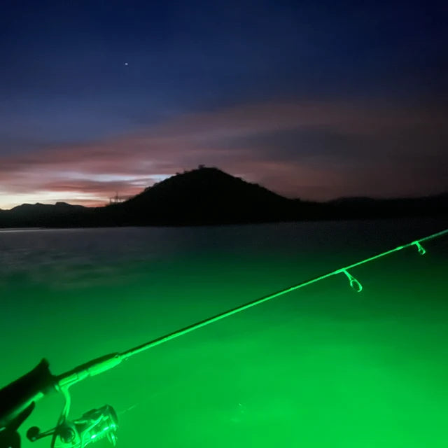 Mini Blue Green LED Night Underwater Fishing Hook Clip Float Bite