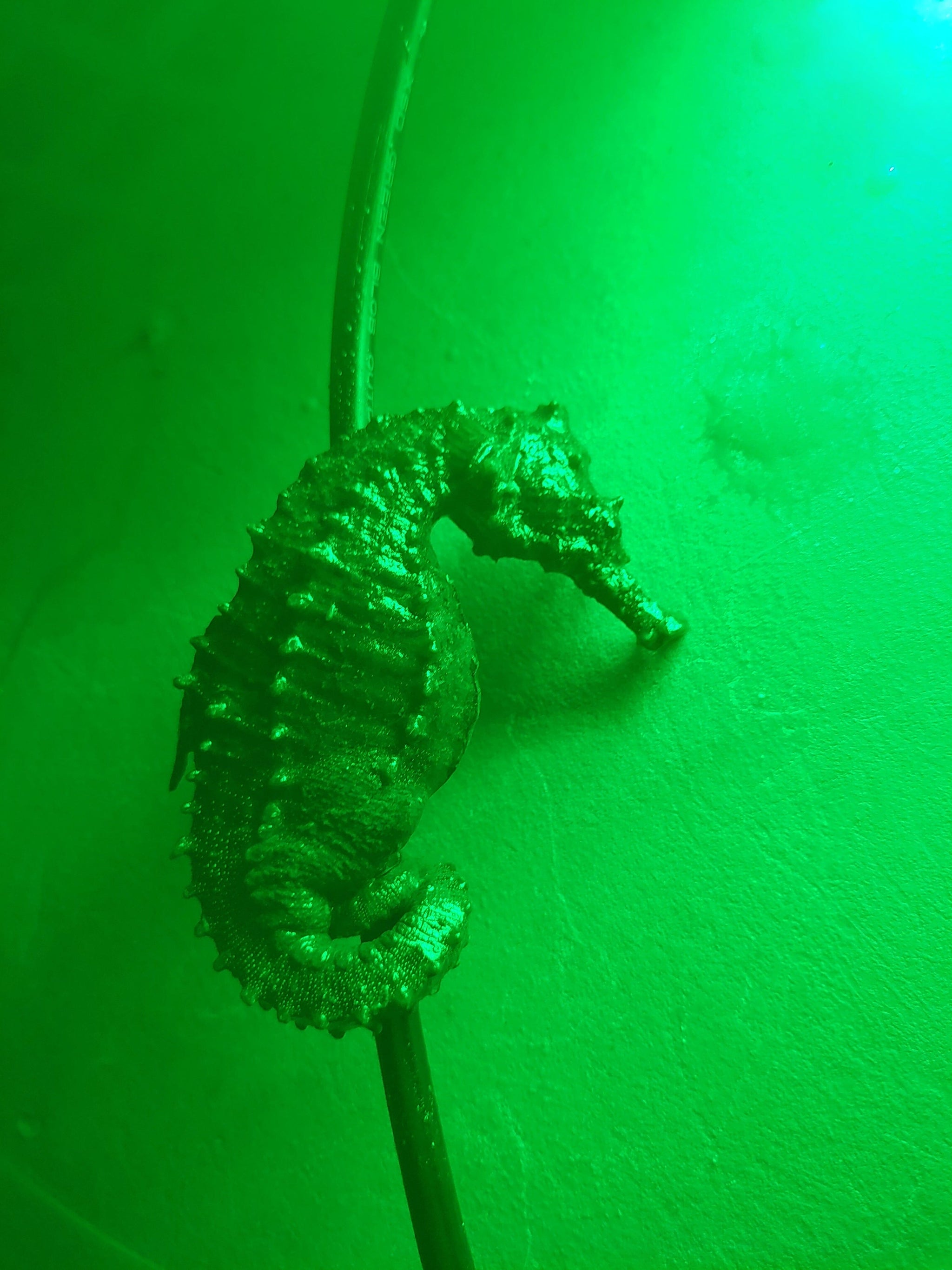 Green Blob Underwater Fishing Light causes Bass Fishing Frenzy! 