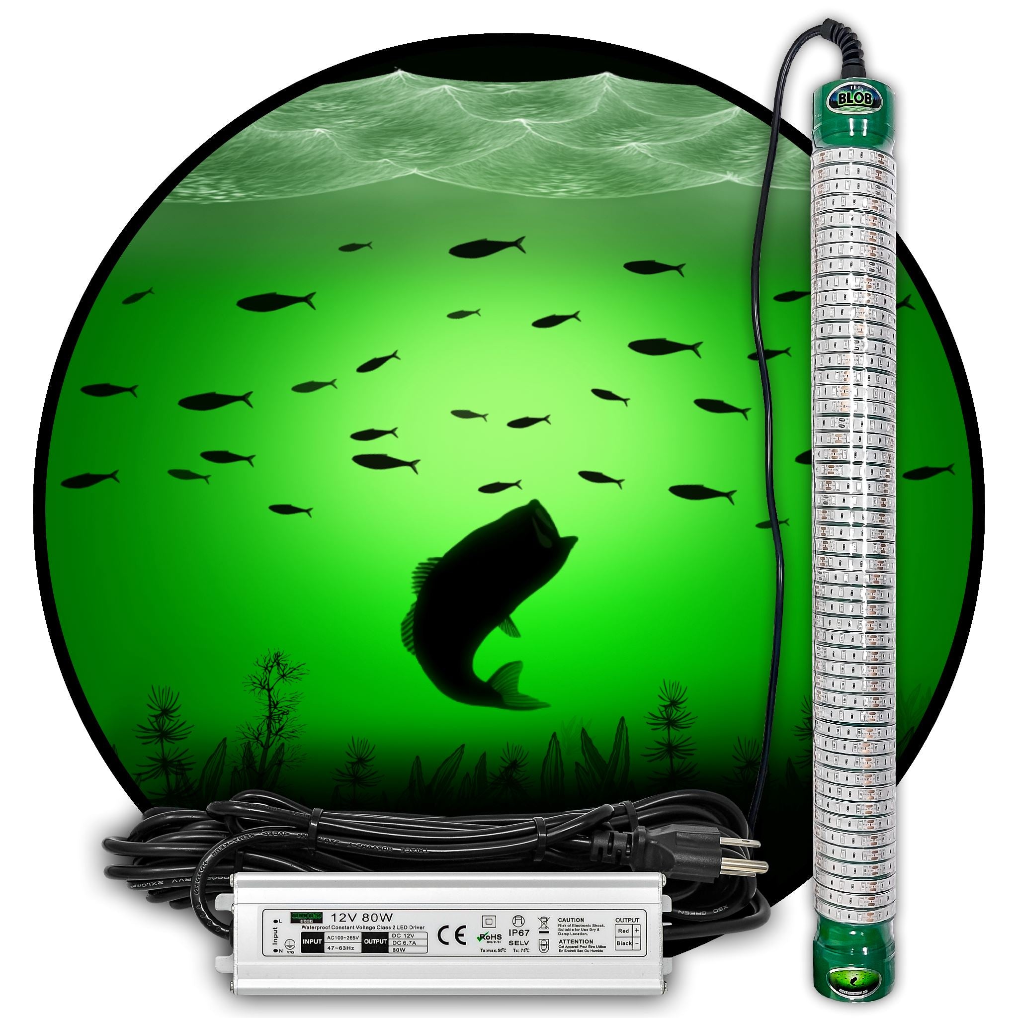  Green Blob Outdoors Jumbo 30000 Lumens 600 LED Underwater  Fishing Light 110 Volt AC 3 Prong Plug Includes Timer w Photocel 30ft Power  Cord (Choice of Green, Blue, or White) (