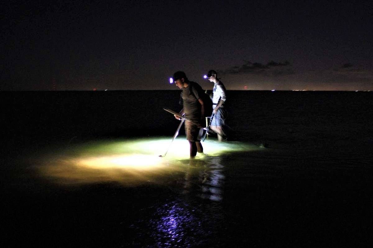 LED Flounder Gigging Bully Netting Underwater Light Kit - Green Blob  Outdoors