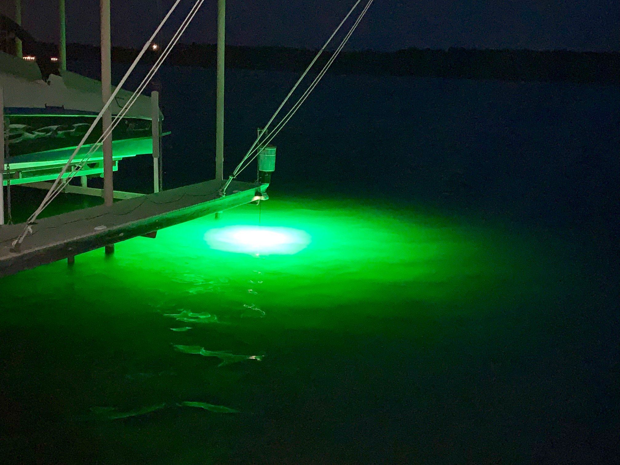 Bright Night Fishing Green LED Night Fishing Light 15,000 Lumen 30ft Cord  Waterproof AC Underwater Fishing Light 300 Green LED Submersible Dock Light
