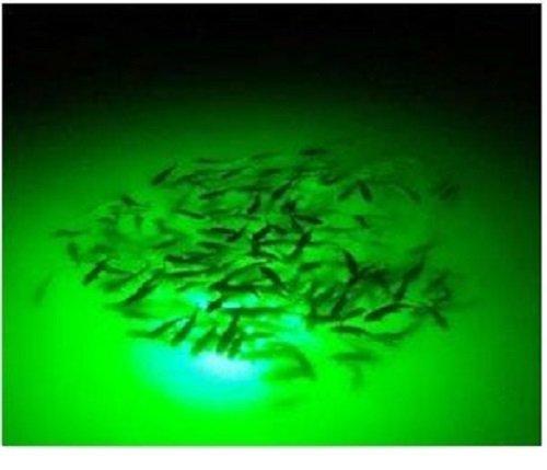 Green Blob Outdoors Underwater Fishing Light L750015000 with 30ft or 50ft 110 Volt AC Power Cord Crappie Snook Fish Attractor
