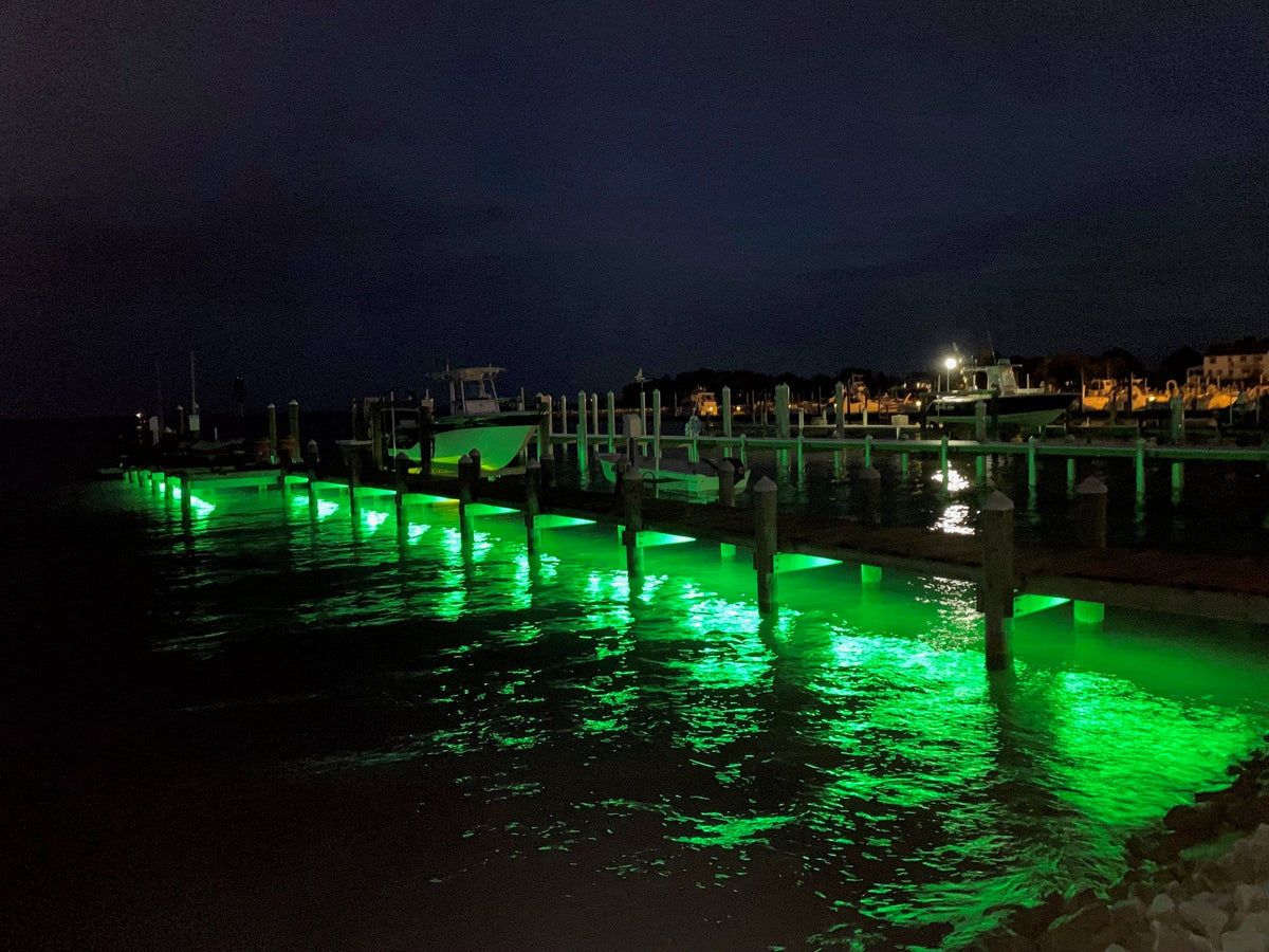 Pimp My Dock LED Light Kit (Blue, Green, UV, White, or Color Changing) DIY Premium LED Under Dock Lighting Kit IP68 Completely Waterproof Pimp My Dock Green Blob Outdoors 